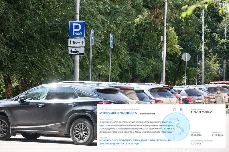 Парковок в центре Волгограда много не бывает.... особенно платных.