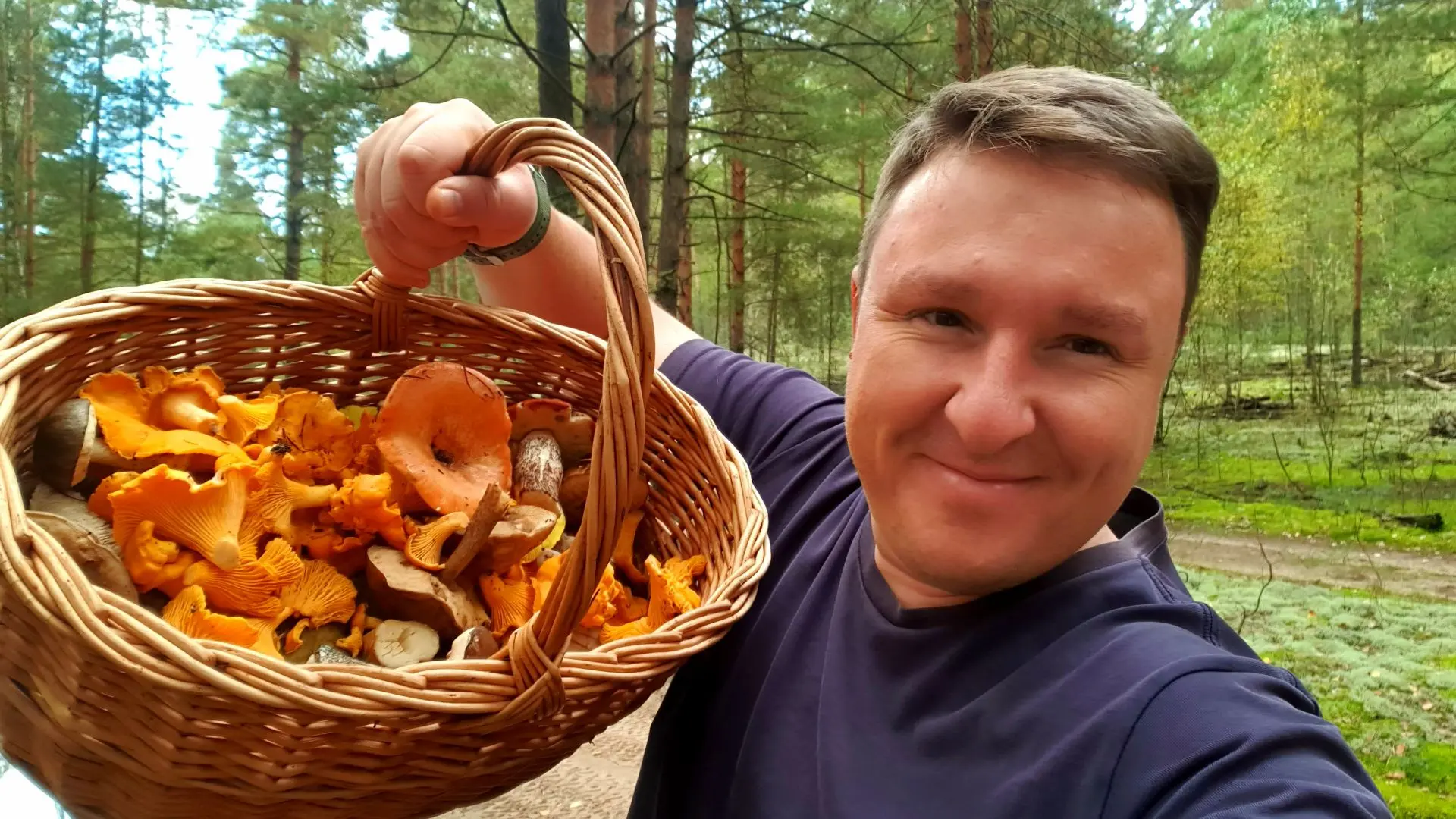 Короткая утренняя прогулка за грибами. Лисичек понавылезало уйма, аж светятся эти жёлты...