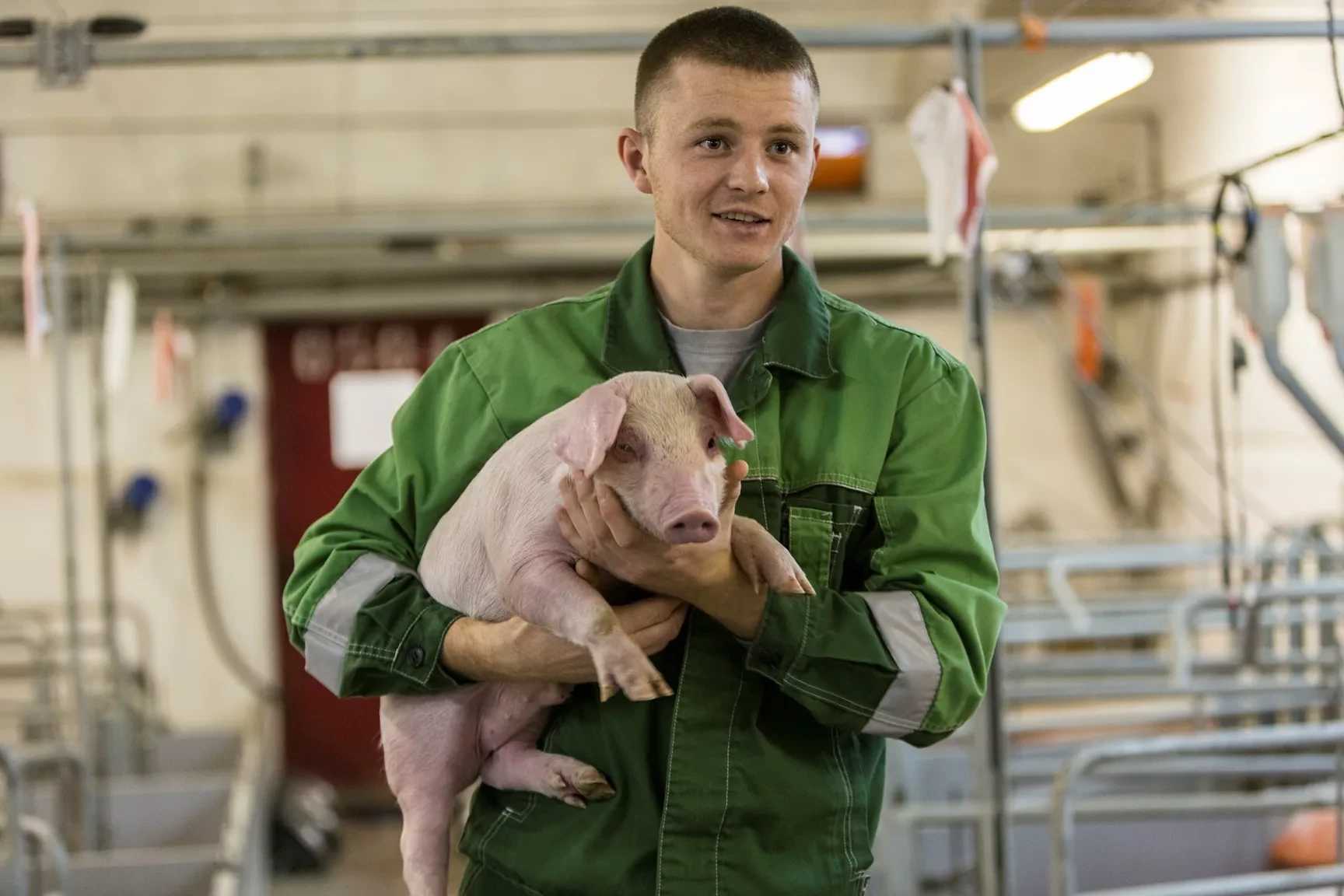 Свинокомплексы 🐖