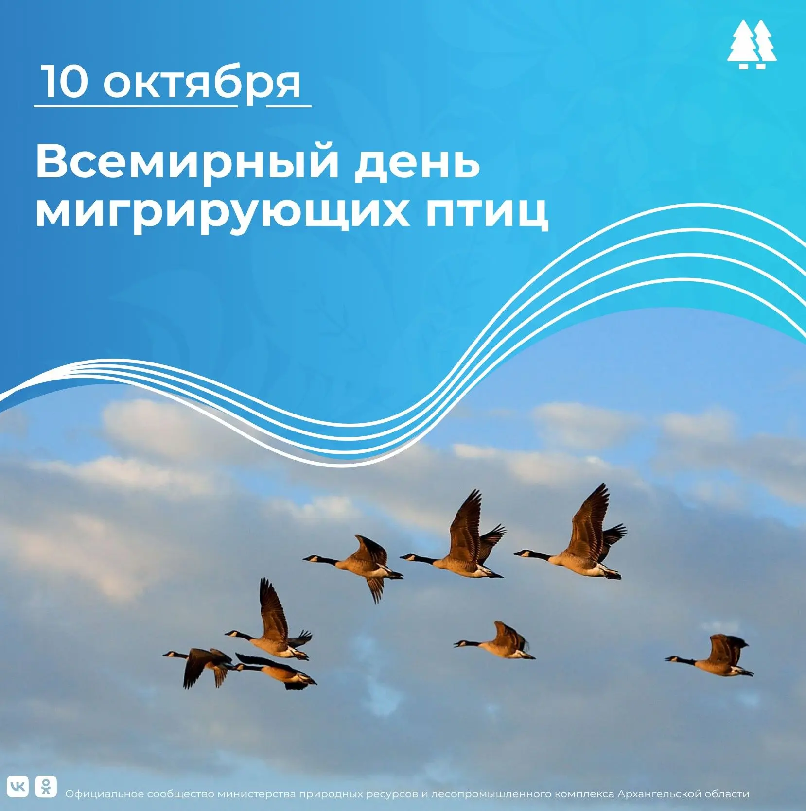 🙌🐦 Ежегодно 10 октября отмечают Всемирный день мигрирующих птиц