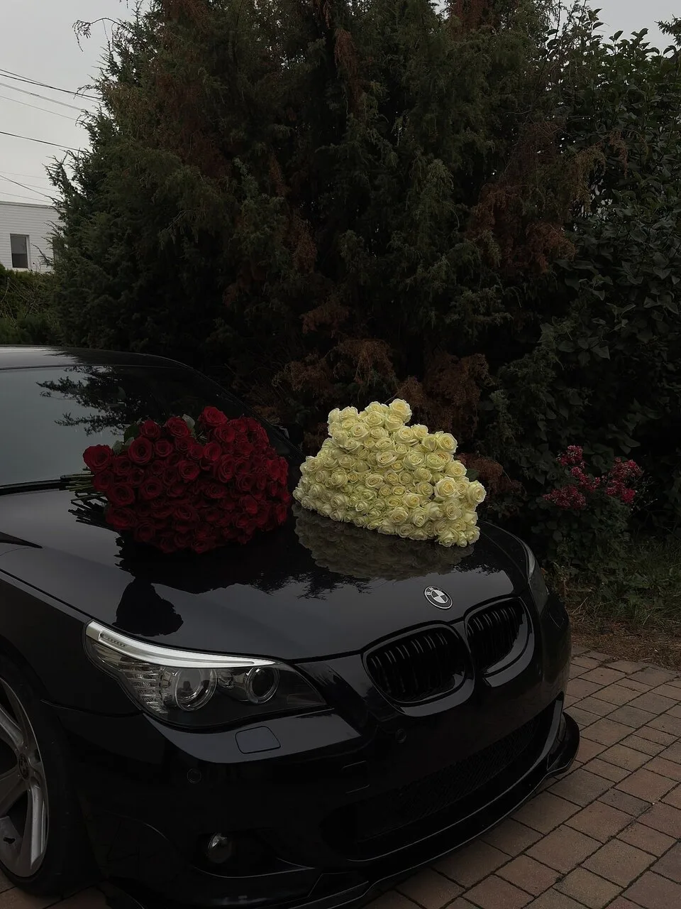 #car #car #бмв #cars #bmwx5