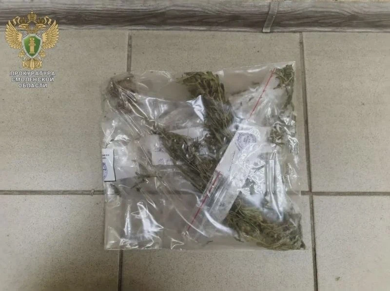 Дело о конопле в Дивасах передали в суд