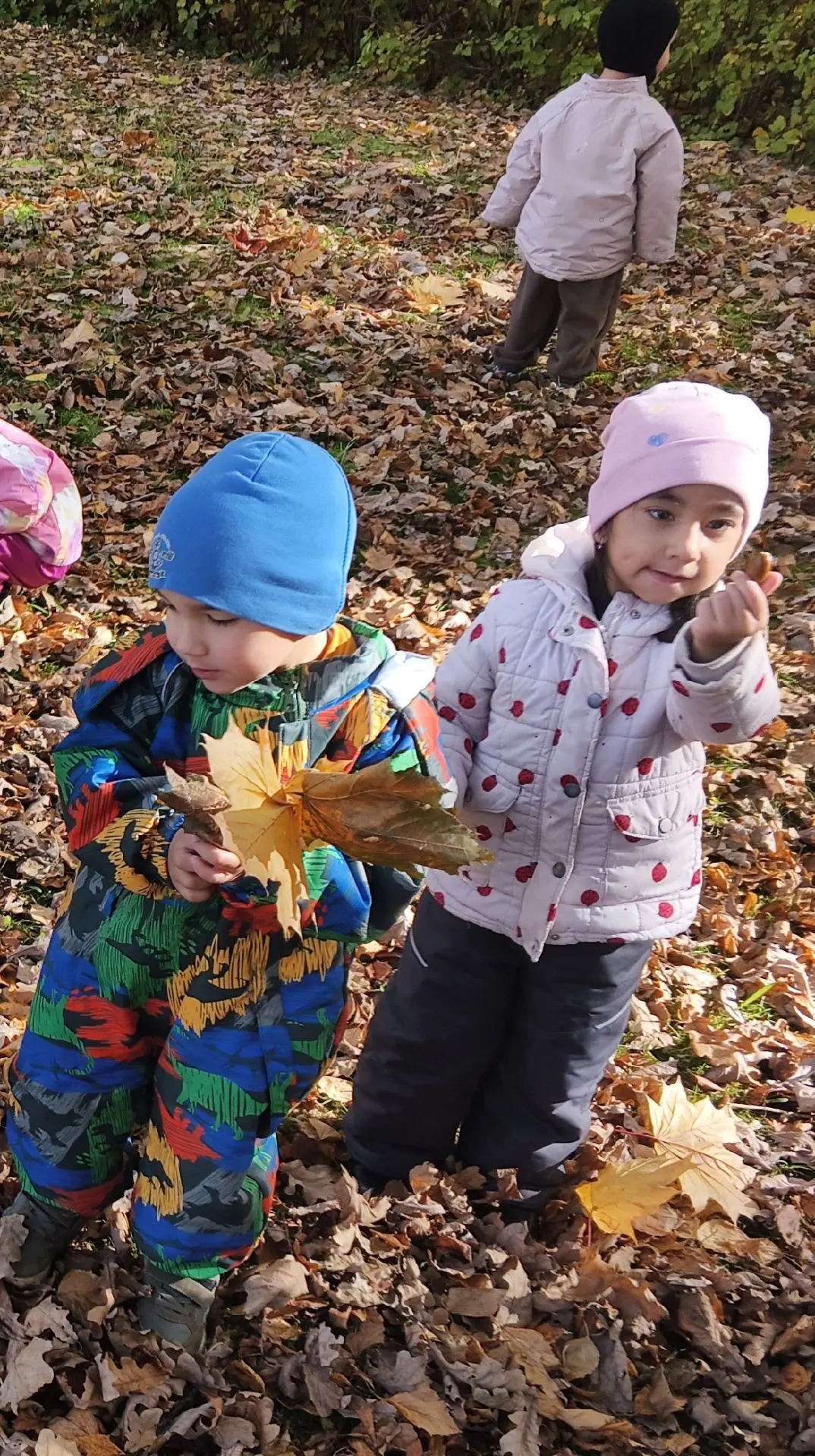 🍁Золотая осень в нашем детском саду — прекрасное время для прогулок.