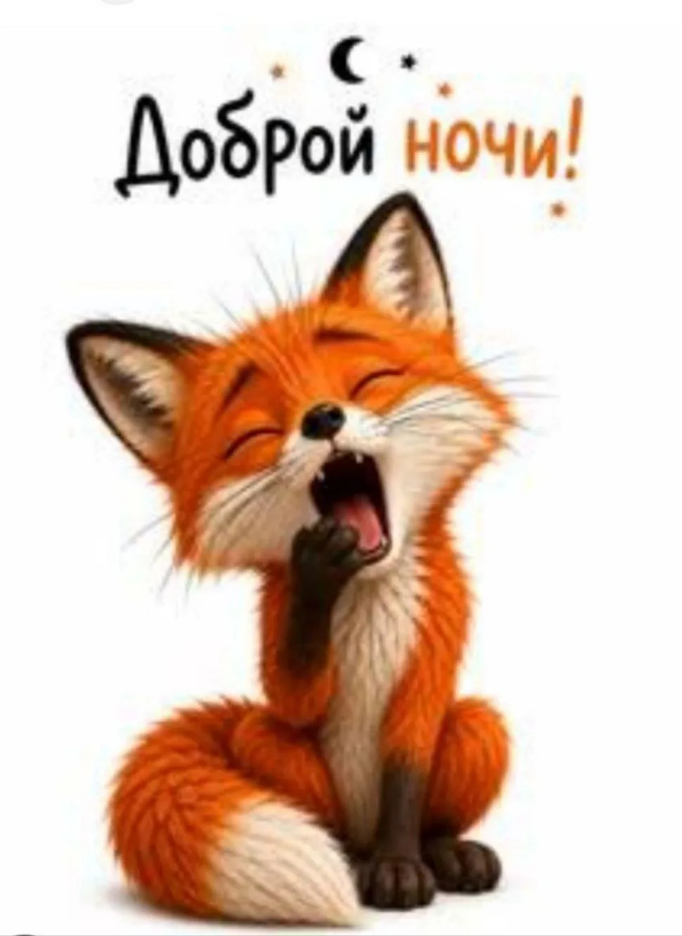 Доброй и мирной вам ночи🙏 ✨Волшебных снов ✨