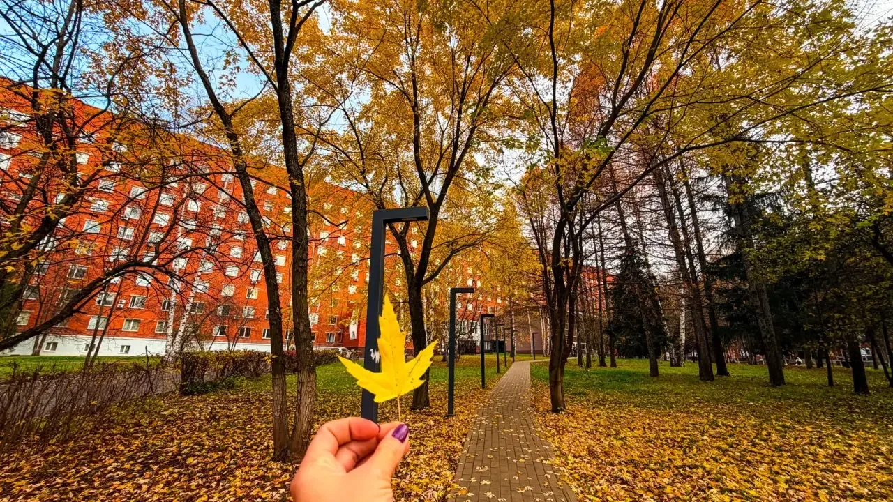Доброе утро!🍁