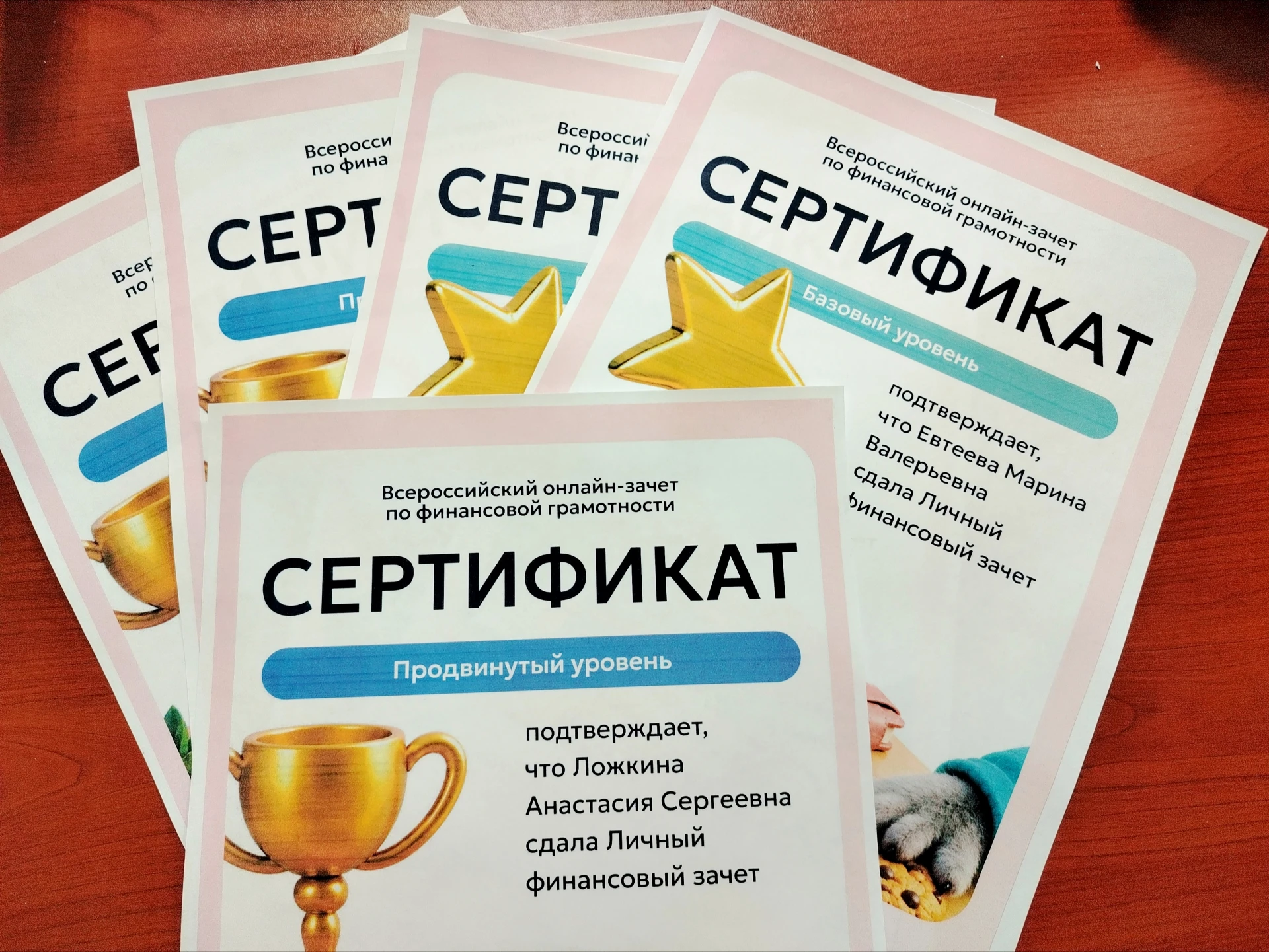 Специалисты КГБУ "Николаевский-на-Амуре КЦСОН" приняли участие в онлайн-зачете по финан...