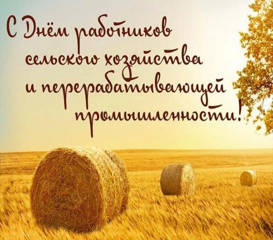 Уважаемые работники и ветераны сельского хозяйства и перерабатывающей промышленности, п...