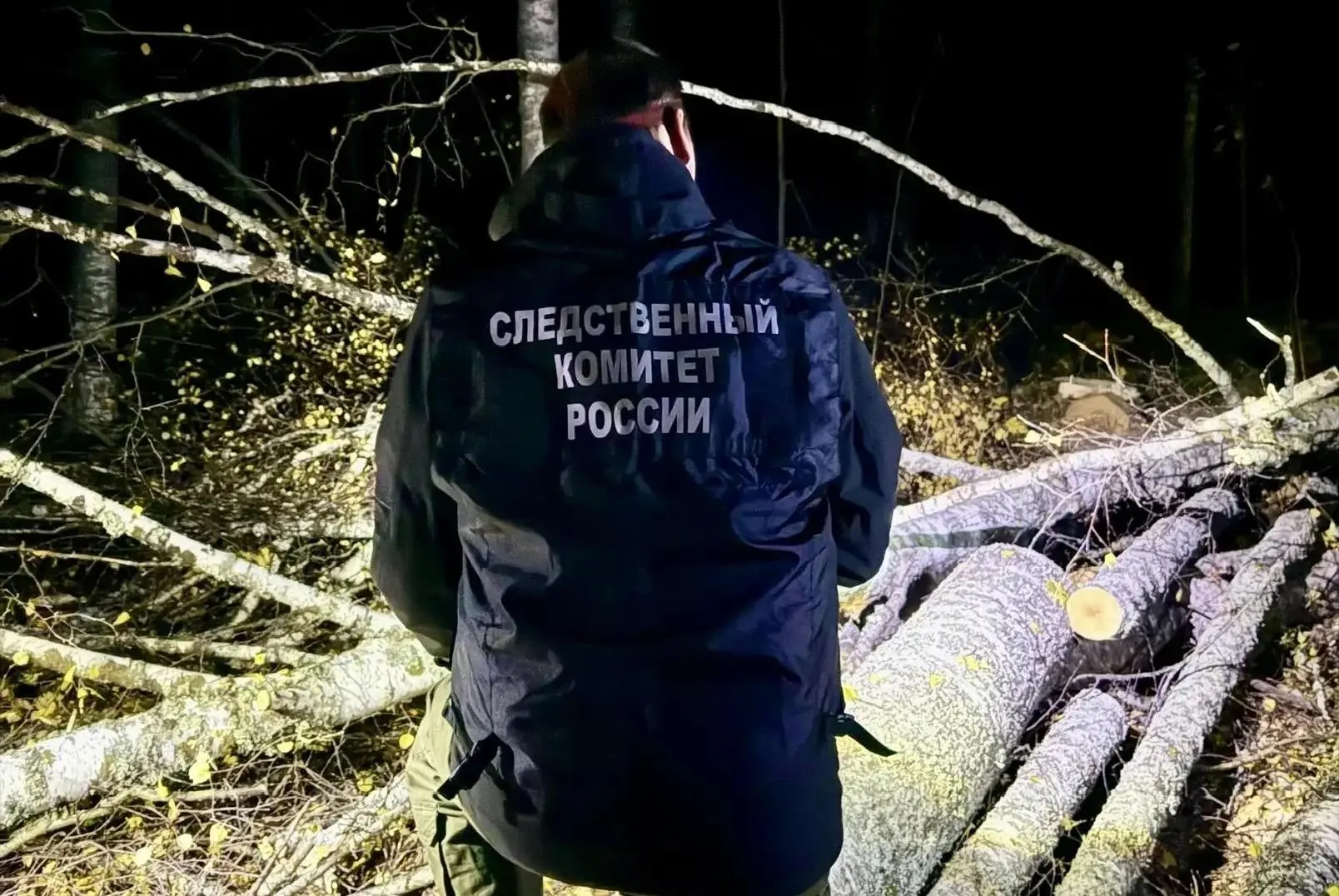 В Марий Эл началась проверка по факту гибели мужчины в лесу