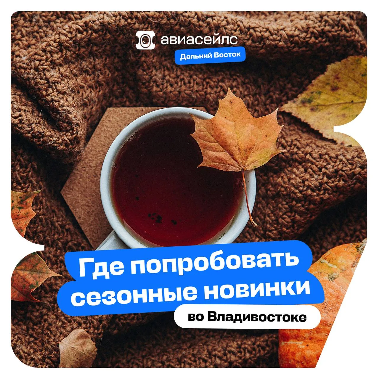 Что пить этой осенью, кроме валерьянки: собрали осенние новинки в кафешках Владивостока