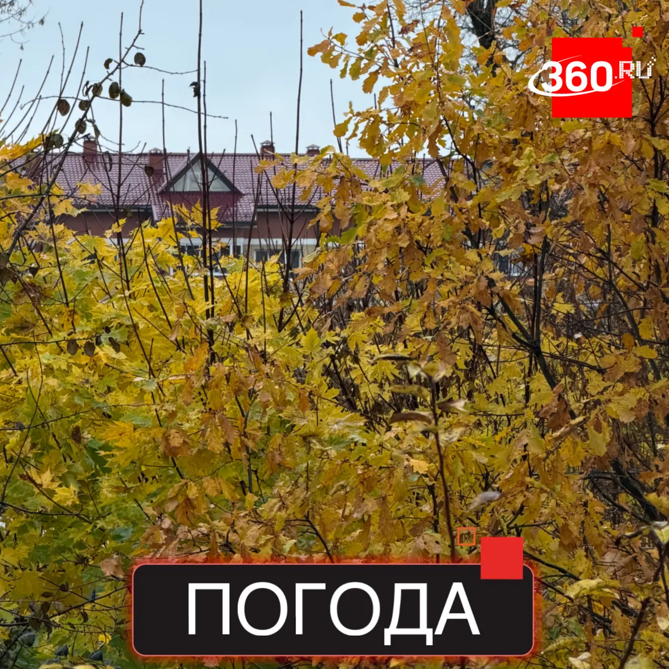Хорошего вторника, Солнечногорск! 🍂