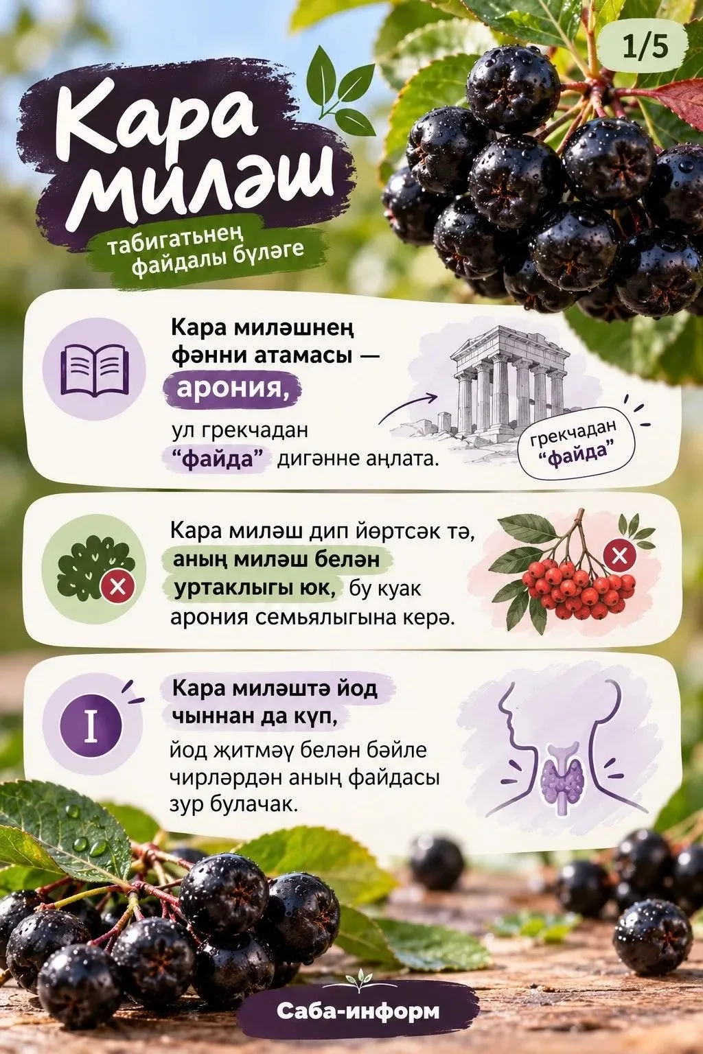 ❓ Укучыбыз сорый: "Кара миләштә йод күп дип ишеткән идем. Минем калкансыман биз белән п...