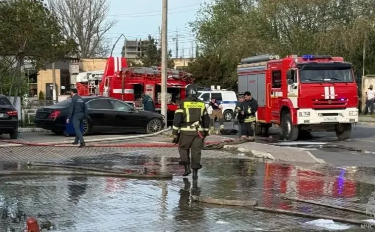 30 пожаров ликвидировано в Дагестане за неделю: сгорели две тысячи птиц и более 800 тюк...