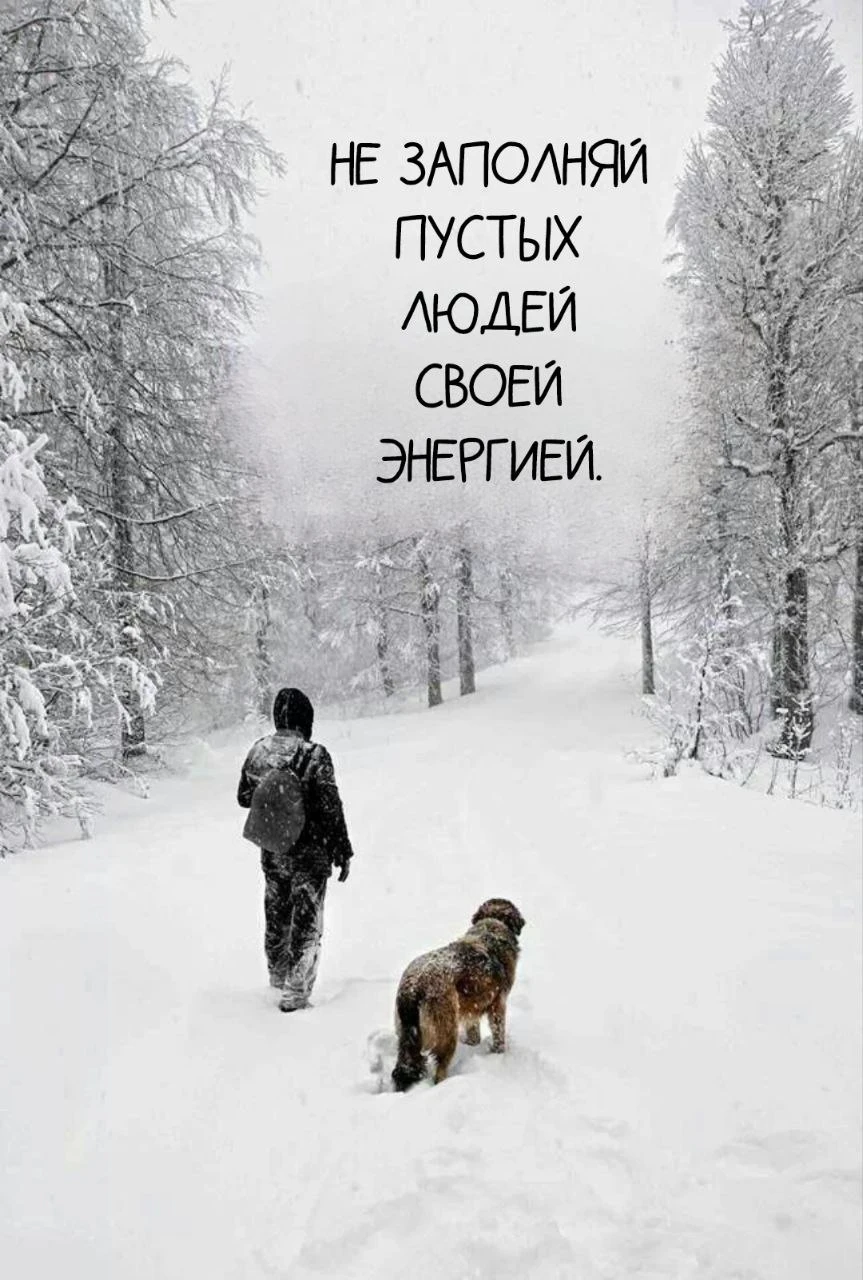 Мудрые Слова ✨