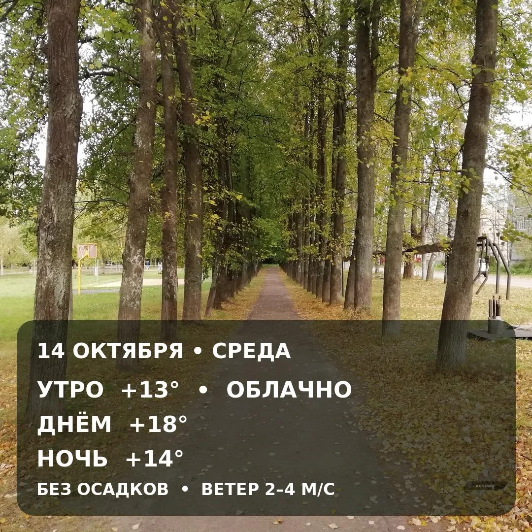 ☁️ Погода в Кстове на среду