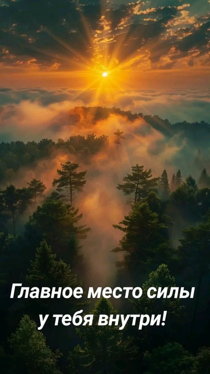 💳 🎁 https://t.tb.ru/pm_short/7WckUcFx4nz