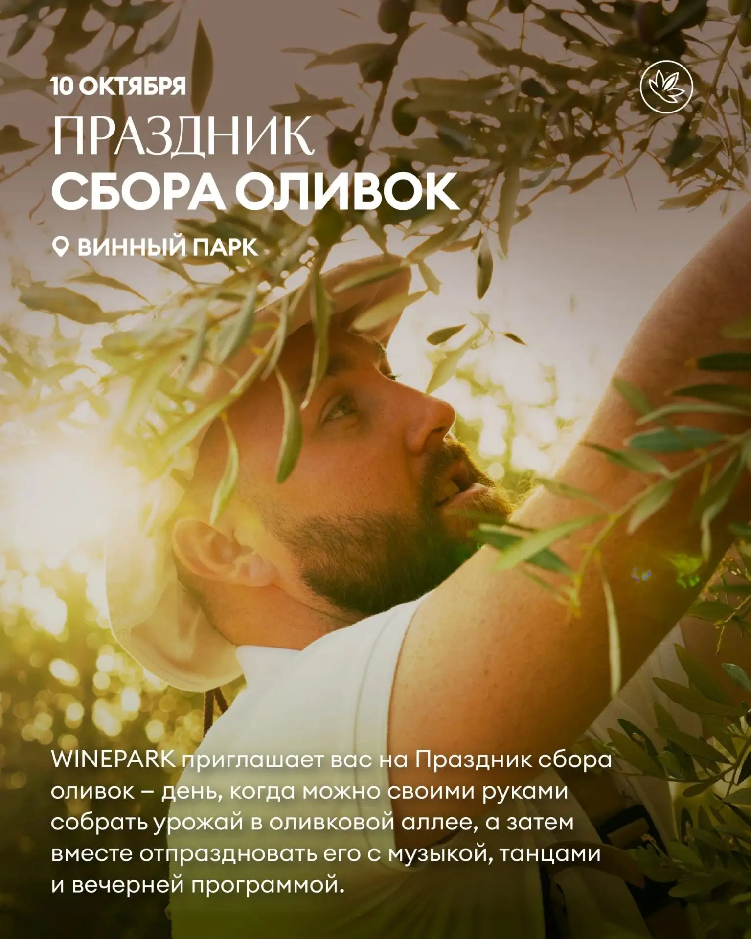 Время собирать оливки и собираться вместе 🫒