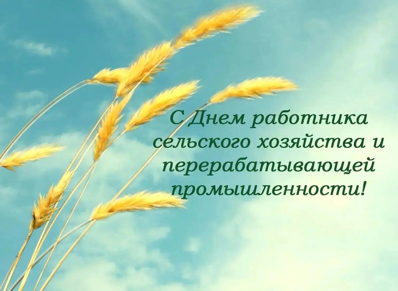 📣С Днём работника сельского хозяйства и перерабатывающей промышленности