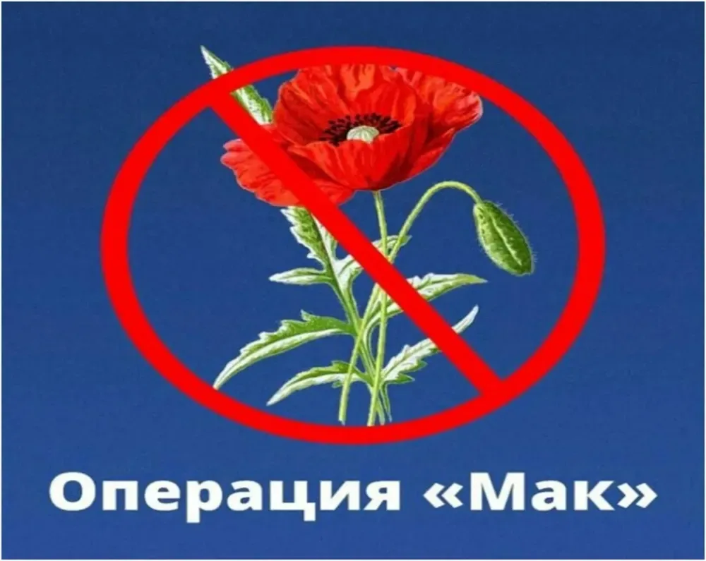 🌿 «Мак‑2026»: защищаем наш район вместе