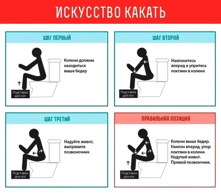 Искусство какать