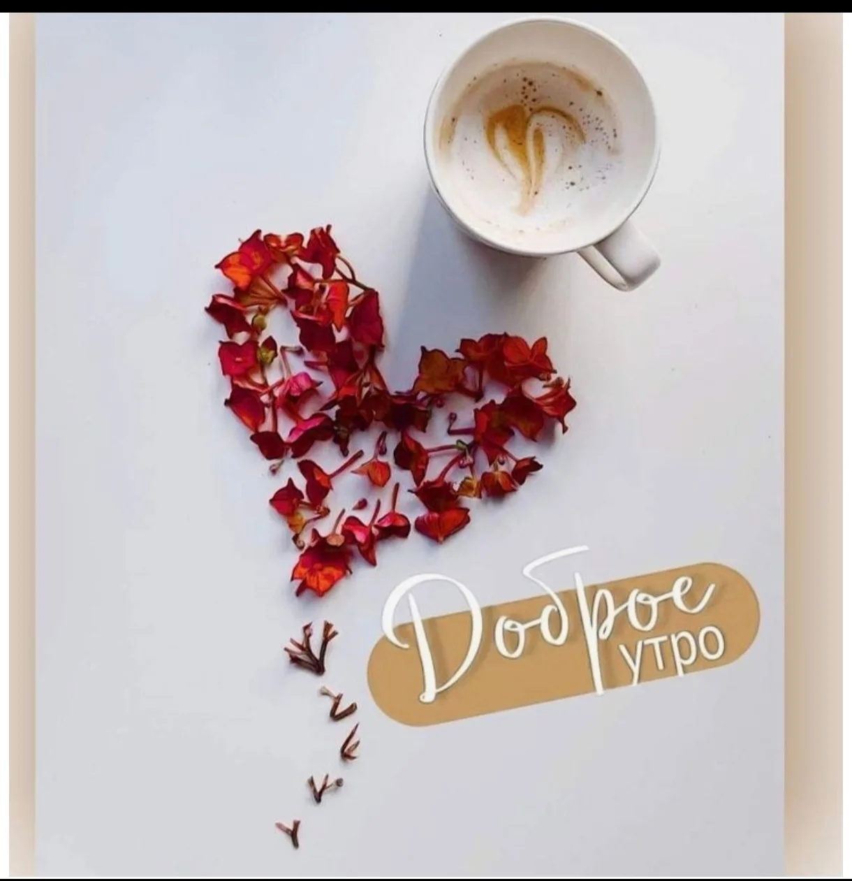 Доброе утро, мои хорошие ❤️🍁