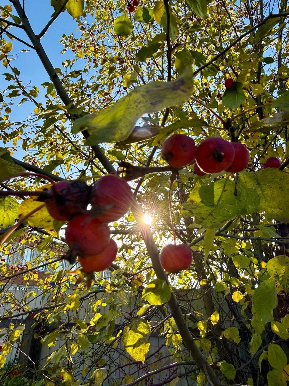 Доброе утро, дорогие друзья! ☀️