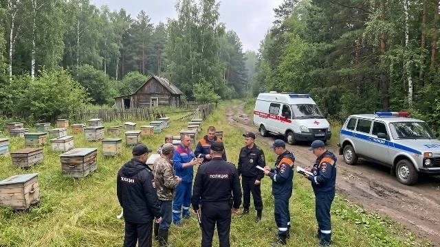 На Алтае медведь напал на 15-летнего подростка.