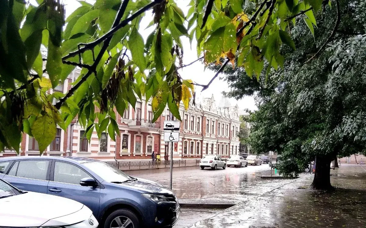 📰 Туман, дождь с грозой, ветром и до +29 °C ожидаются 13 октября на Кубани