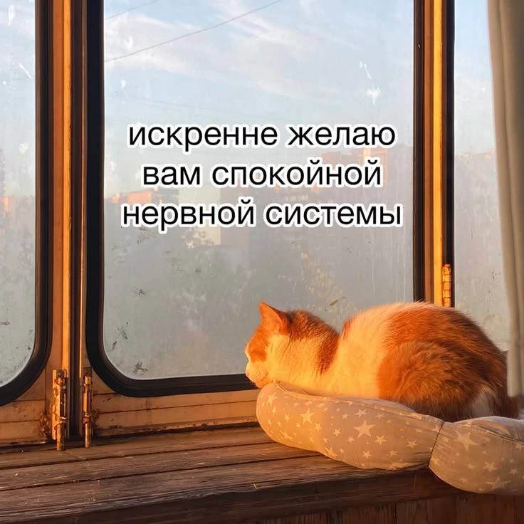 Доброе утро, Курган!