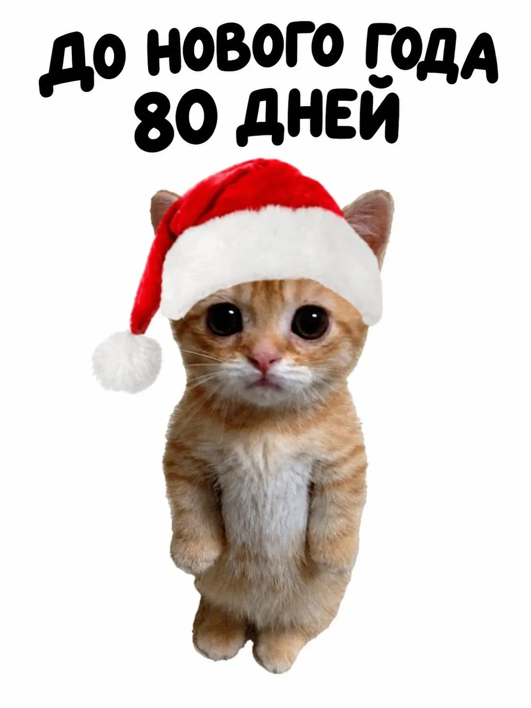 НЕБОЛЬШОЕ НАПОМИНАНИЕ🎉
