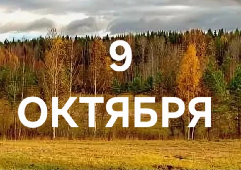 9 Октября: Энергия сотрудничества, отношений и дипломатии! ❤️👩‍❤️‍👨💼