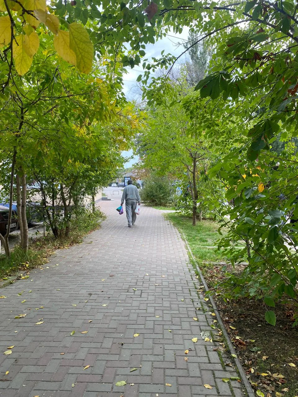 Осень🍂