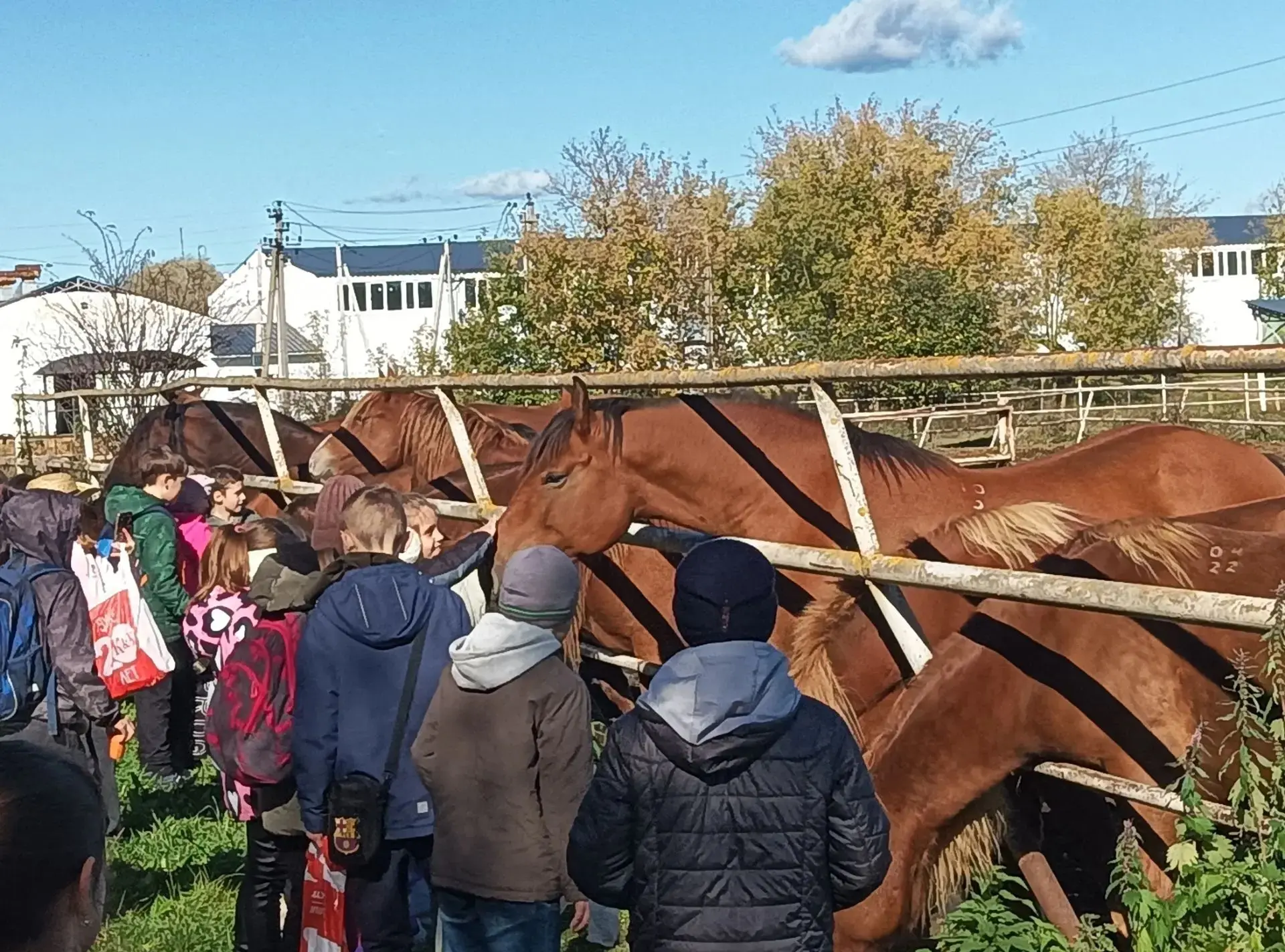 🐎 7 октября ученики 4Г класса нашей школы отправились в увлекательное путешествие — в ...
