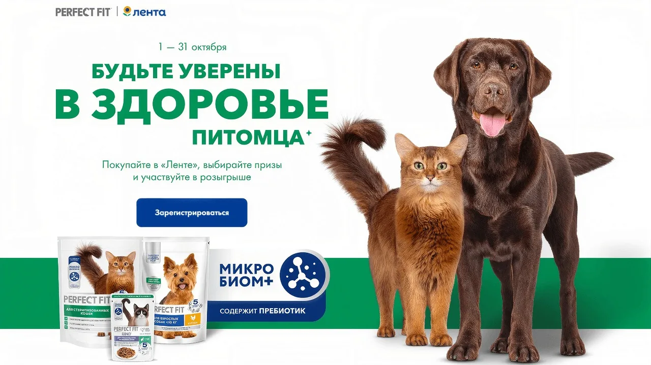 📣Акция Лента, Perfect Fit, Dreamies, Kitekat, Natures Table, Sheba, Whiskas, Cesar, Ch...