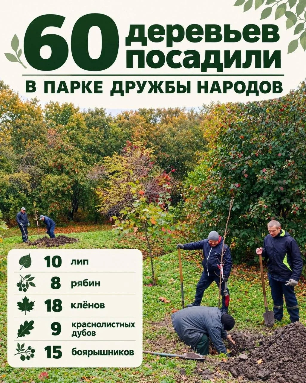 Озеленению быть! 🌳