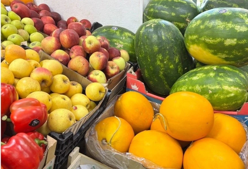 🤝🌲 От «Иннопрома» до межуниверситетского кампуса: как Тюмень и Узбекистан построили э...