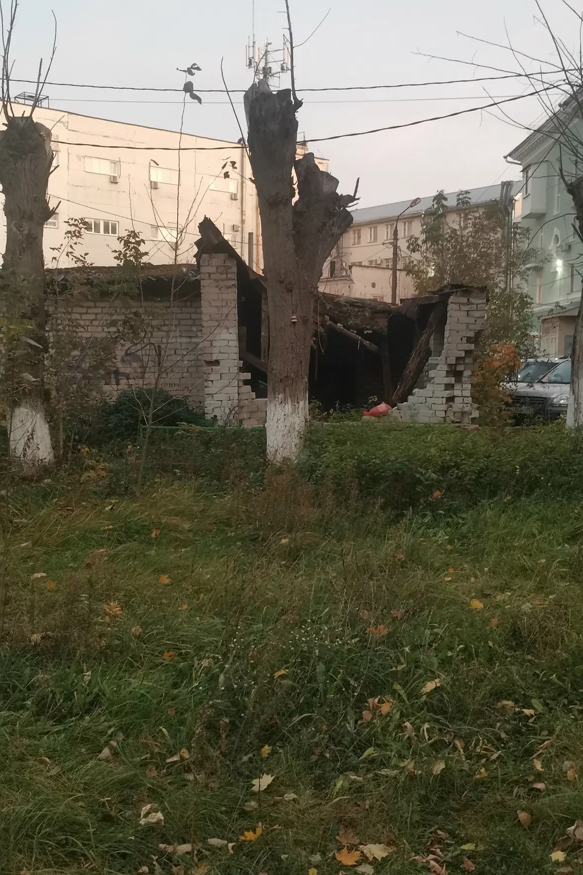 Кто нибудь знает - когда в городе появится руководитель - хозяин?! Который жёсткой руко...