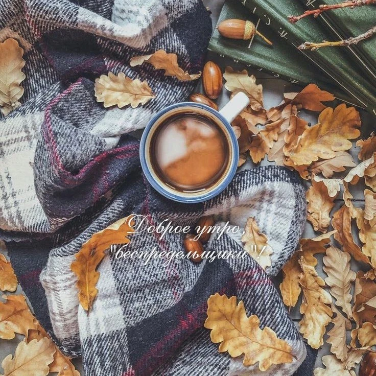 Доброе утро! ☀️