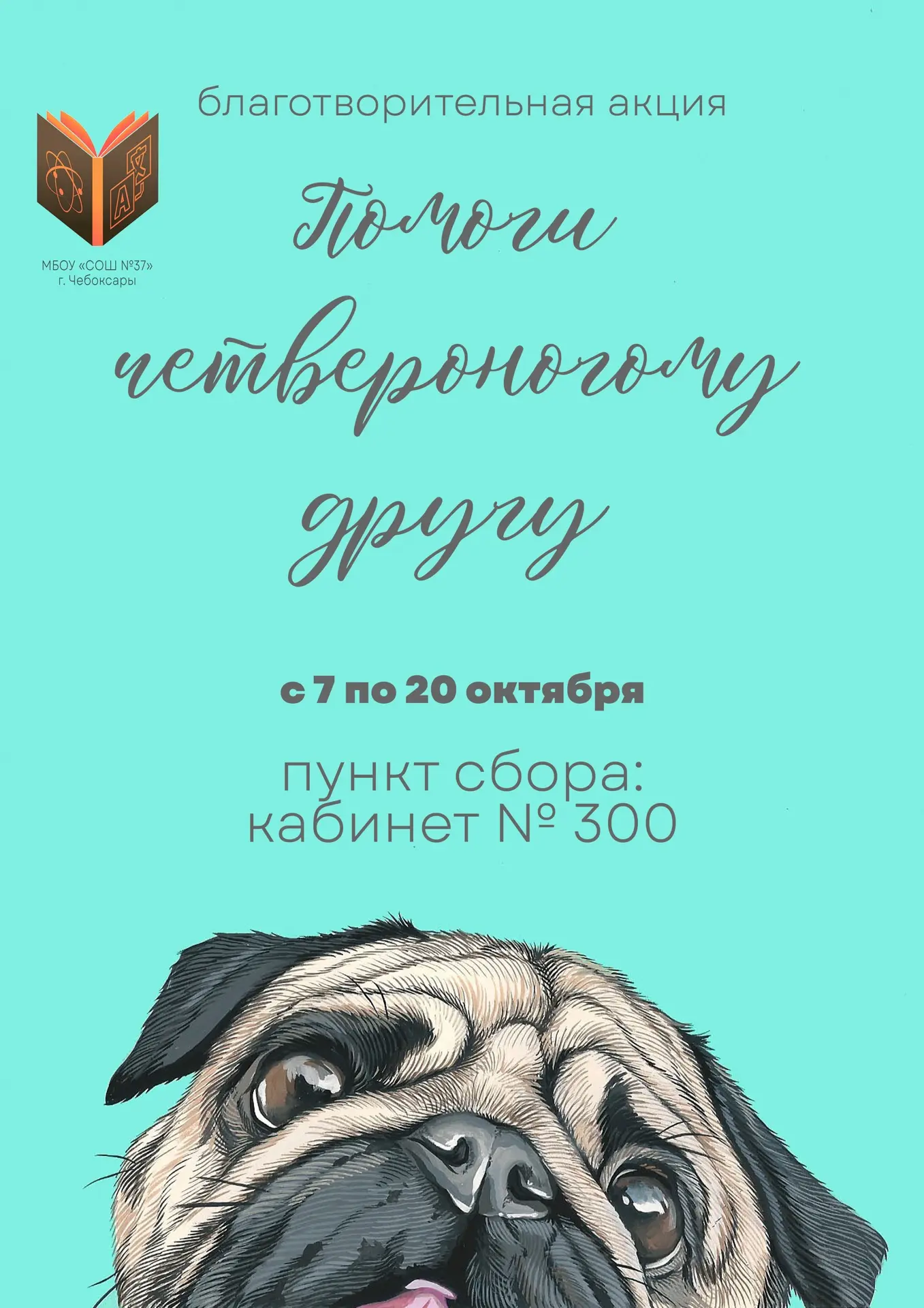 🐶🐈С 7 по 20 октября в нашей школе проводится благотворительная акция «Помоги четверон...