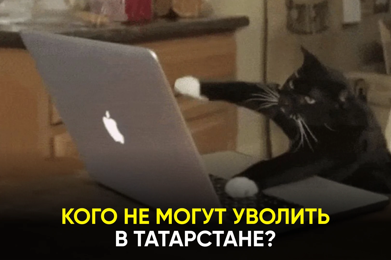 Некоторых сотрудников работодатель не может уволить даже при сокращении штата. Проверьт...
