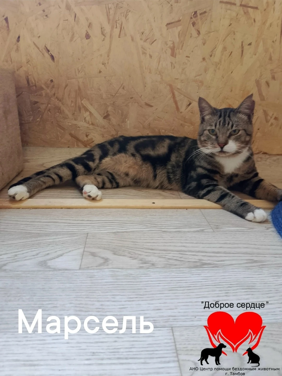 Я, Марсель