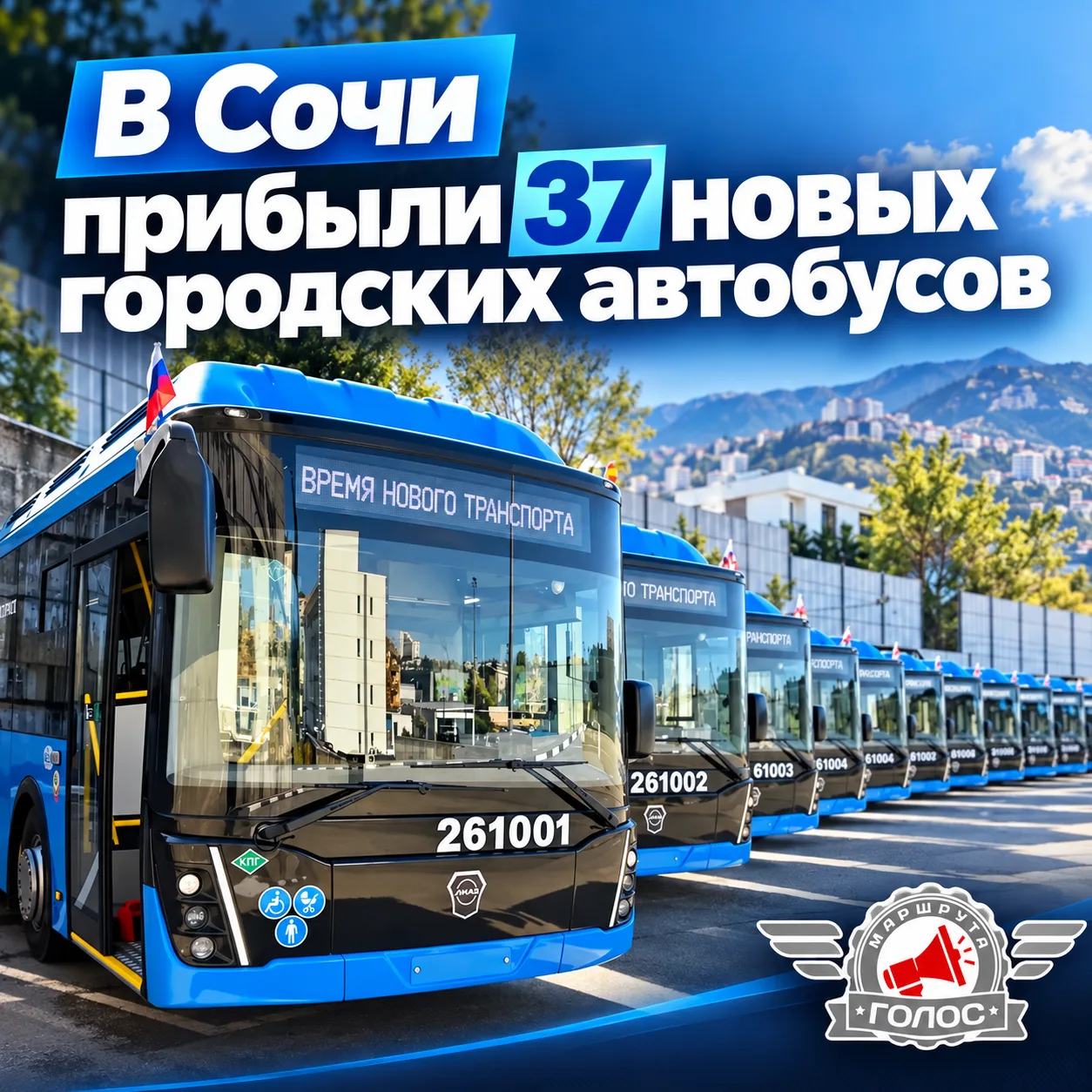 🚌 В Сочи прибыли 37 новых городских автобусов