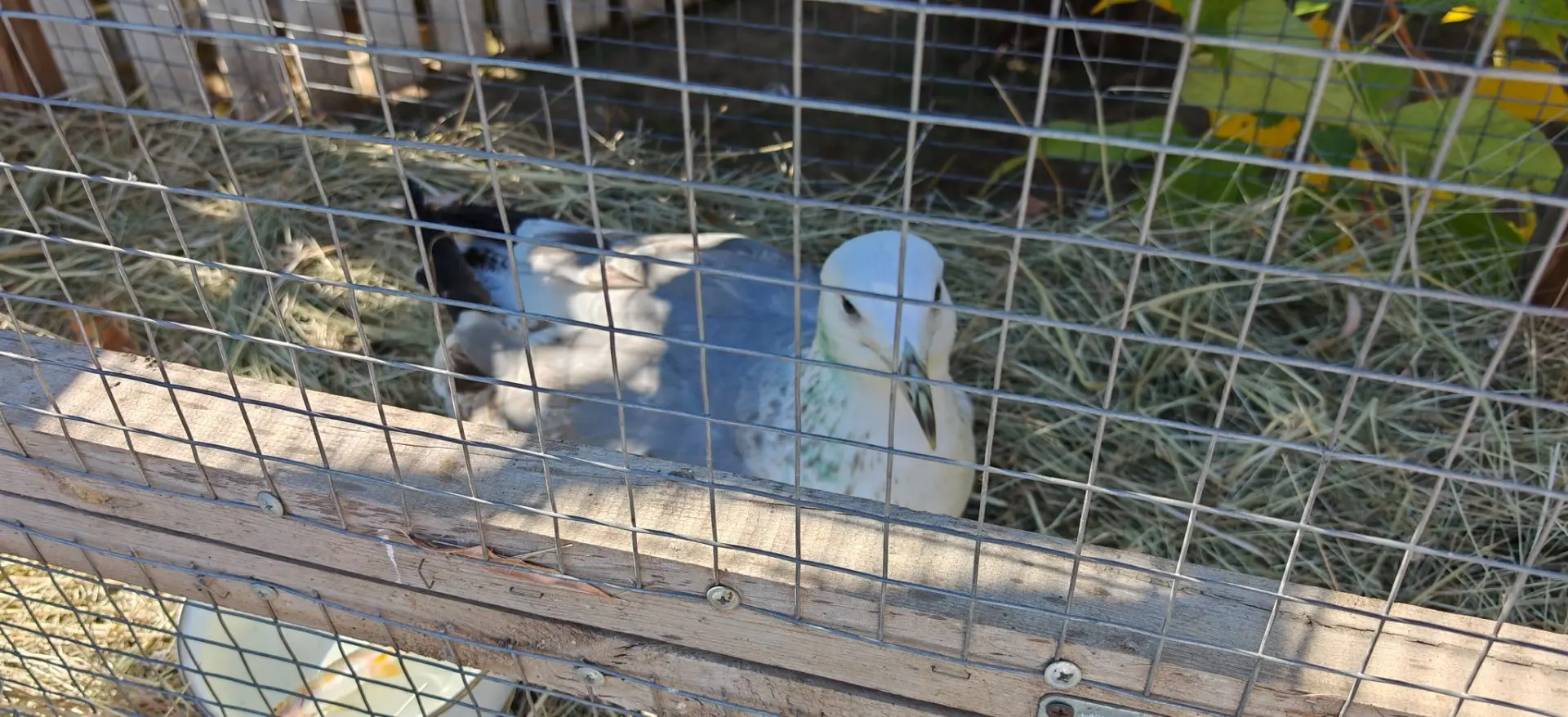 Фото