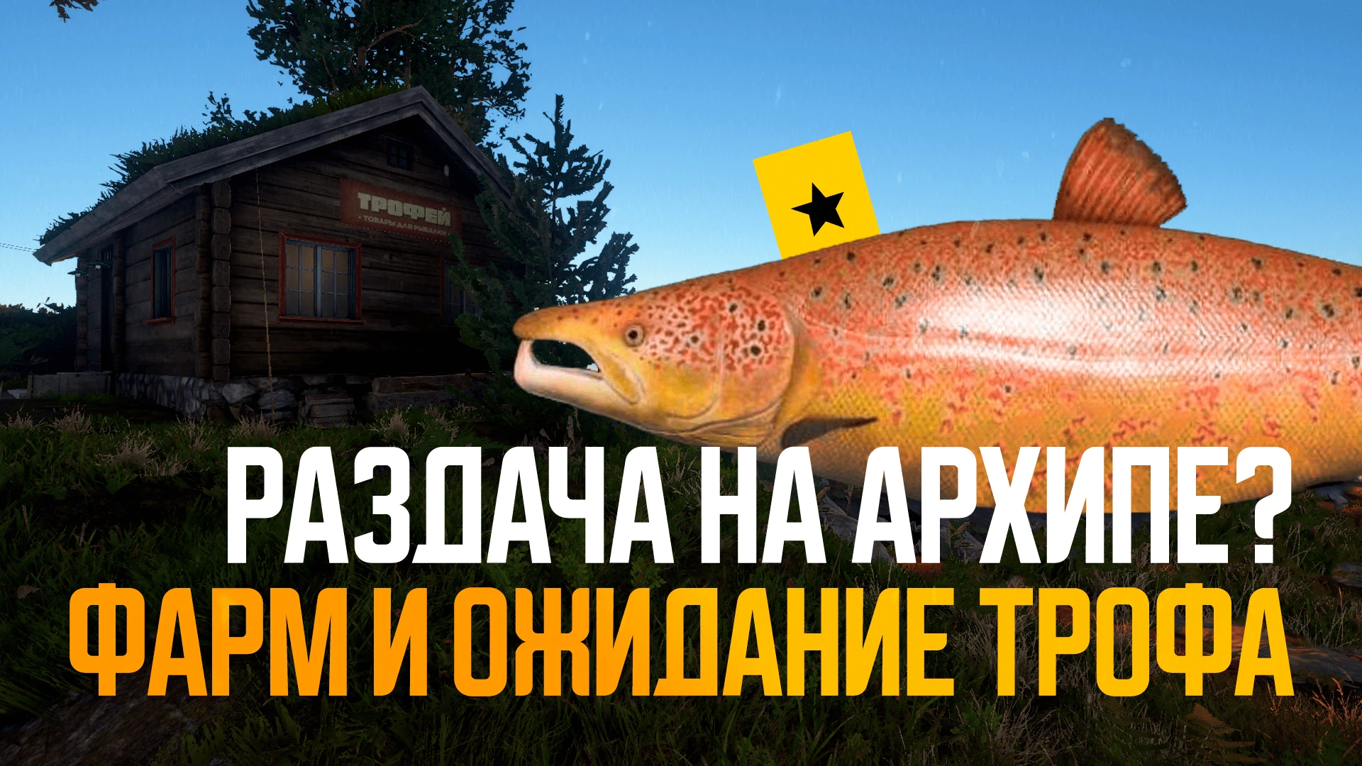 🎣 Стрим начался:
