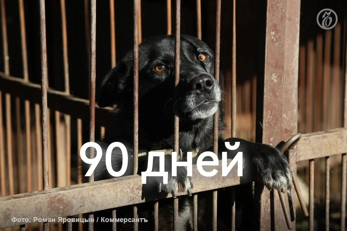 Заберут всех
