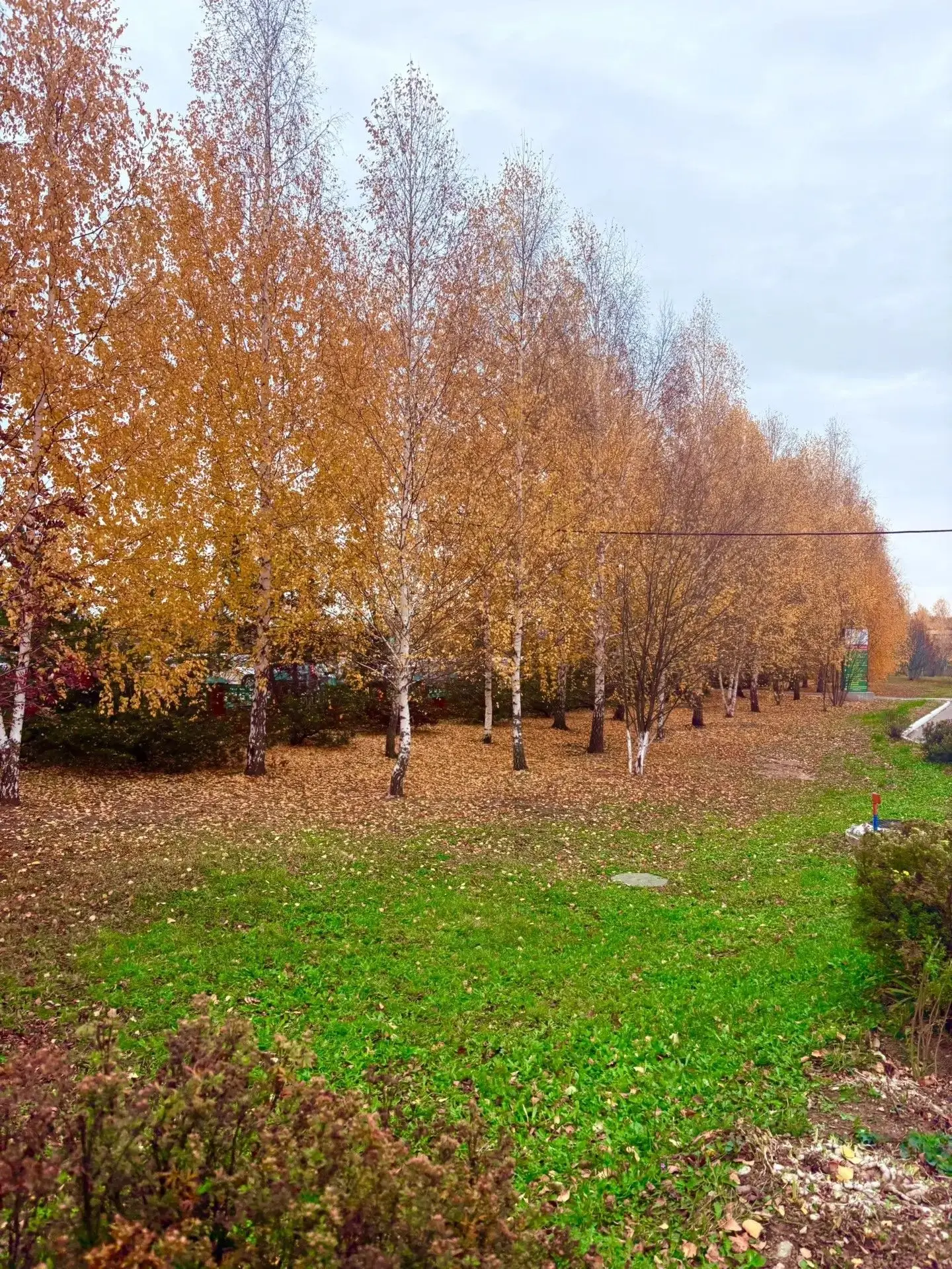 🍁 Көзнең алтын төсләргә төренгән гүзәл мизгеле! 🍂