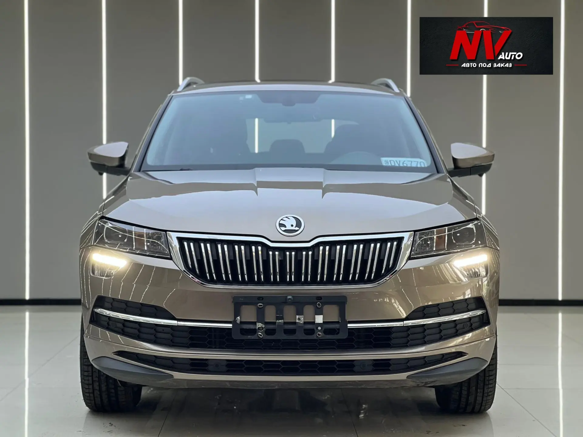 🇨🇳SKODA KAROQ из Китая🇨🇳