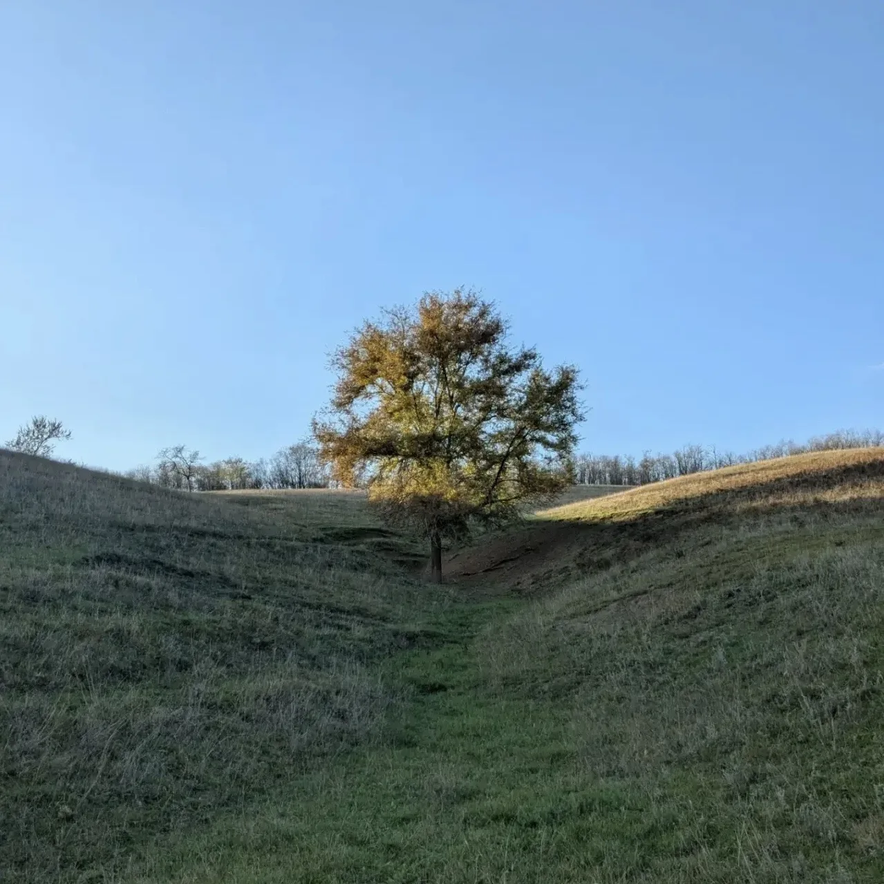 Доброе утро ☀️
