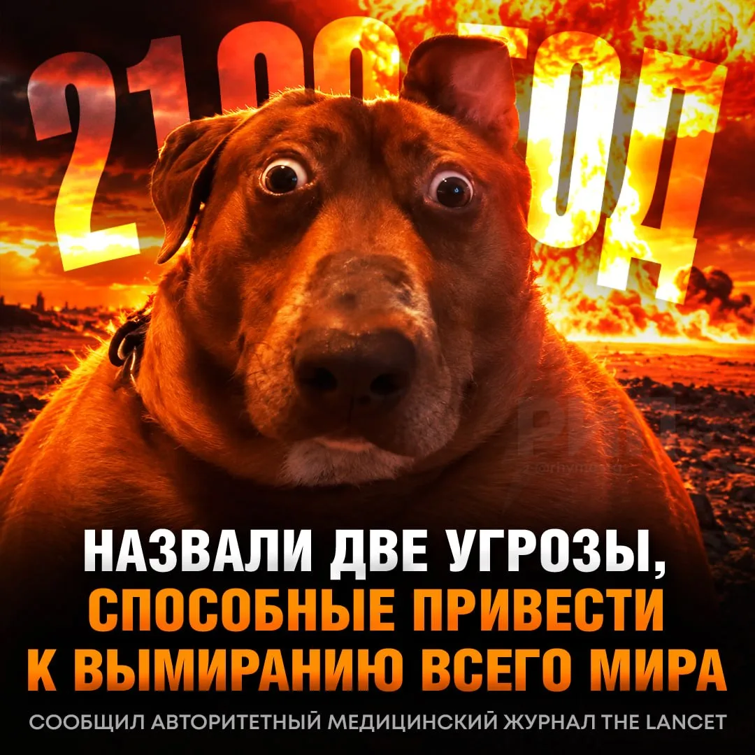 💣 Лишний вес ОПАСНЕЕ ЯДЕРНОЙ ВОЙНЫ — к такому выводу пришли десятки научных экспертов
