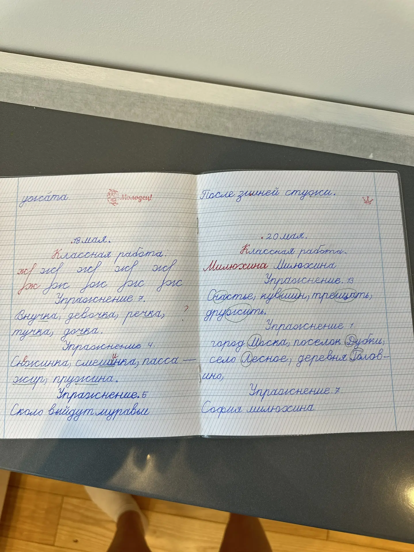 Нашла я тут тетрадку за 1 класс, ну до чего идеальный почерк у Софии БЫЛ😺 ключевое сло...