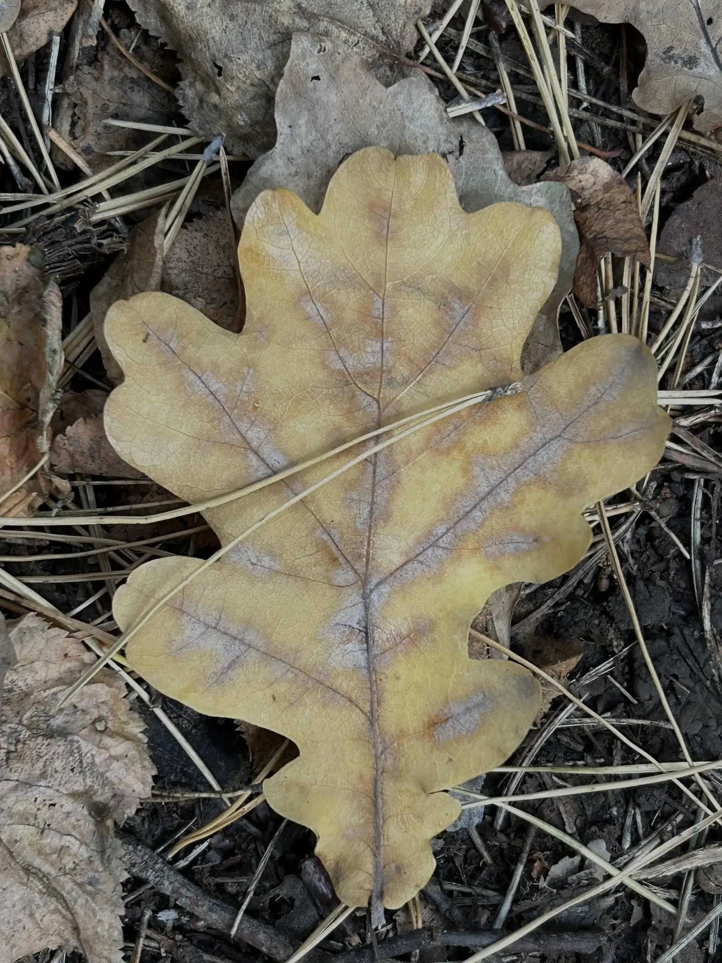 Доброе утро, верхнеуслонцы 🍂